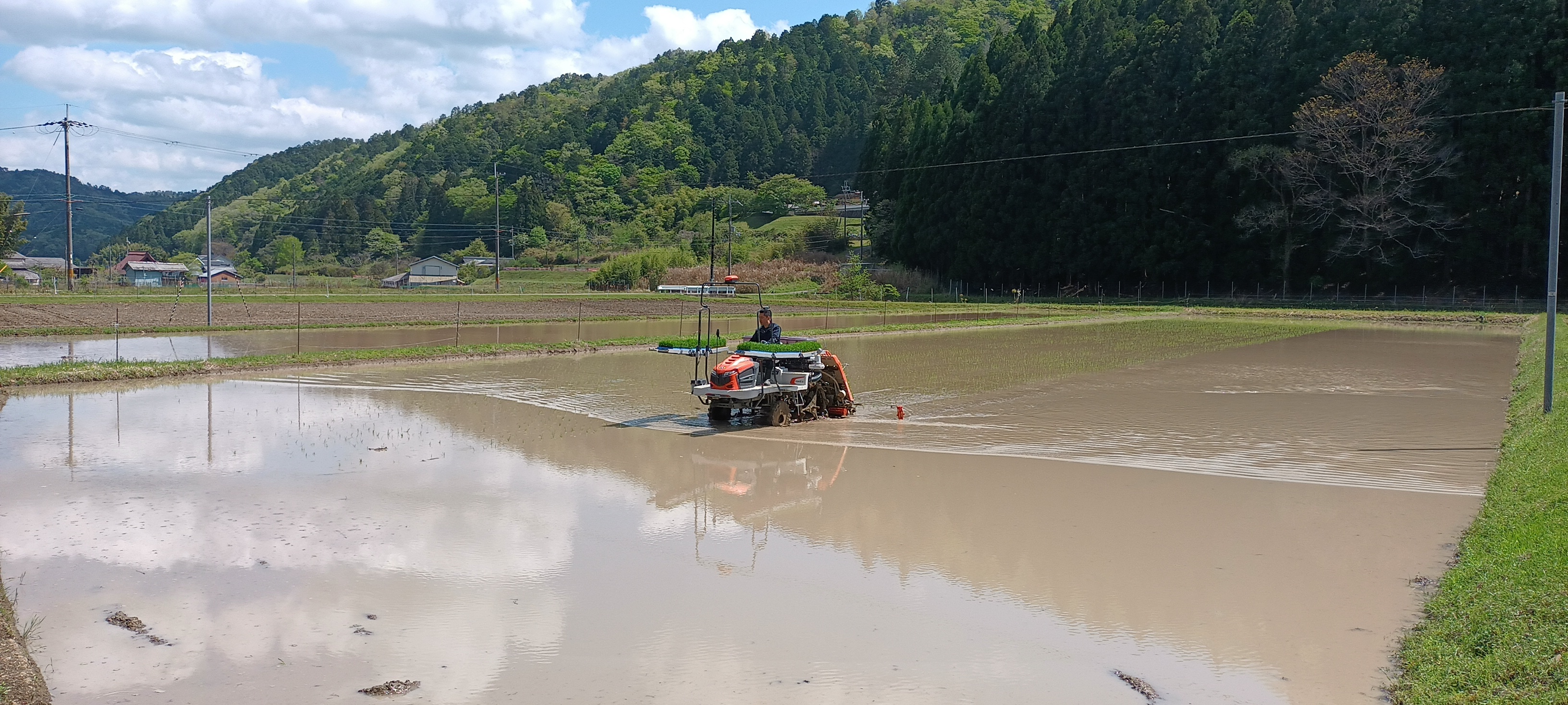 田植え1.jpg