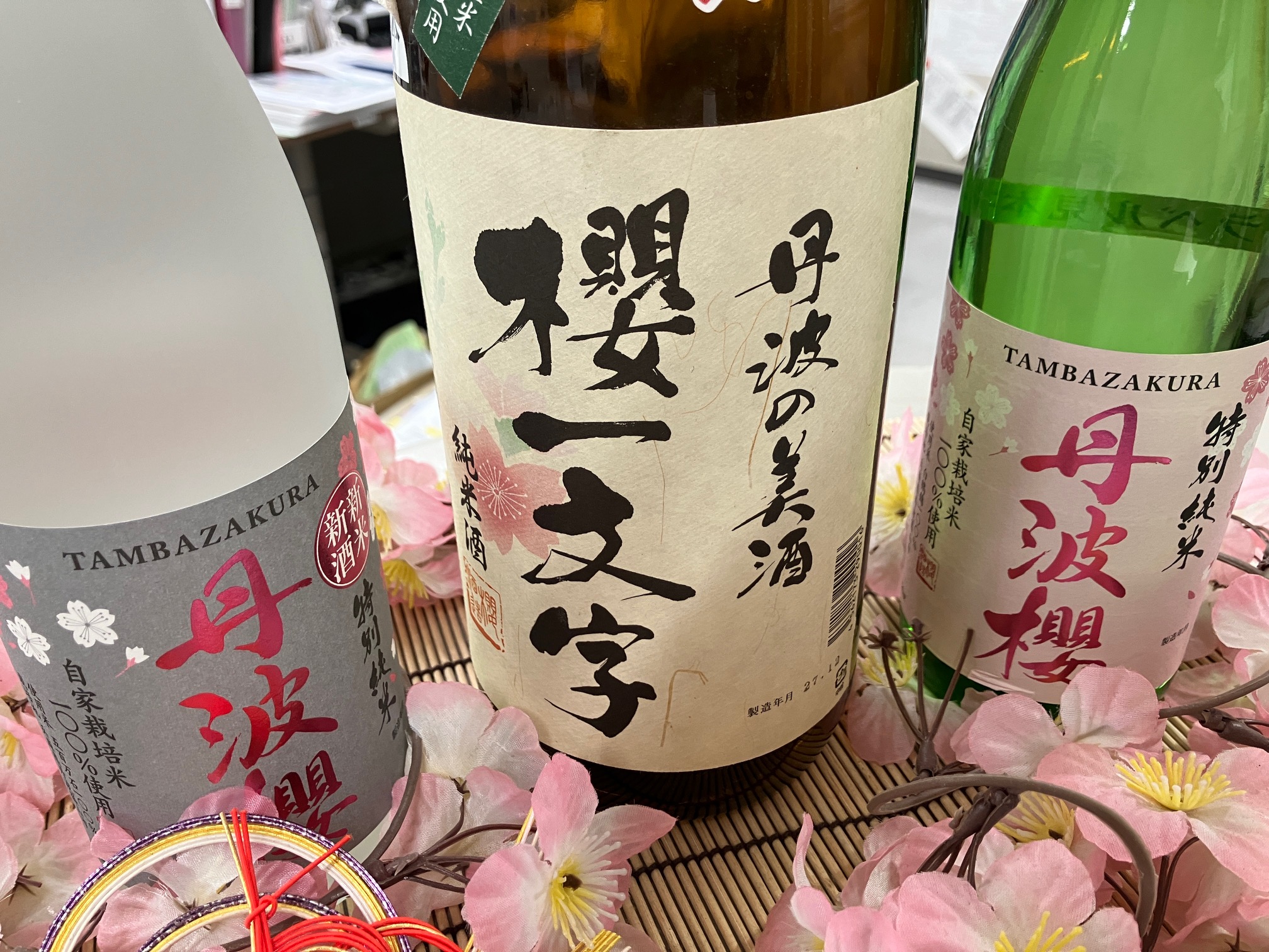20260220-丹波櫻.jpg